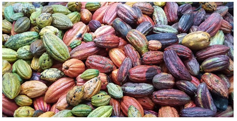 Ghana's Cocoa Growth Slows Sharply Despite Rising Global Prices